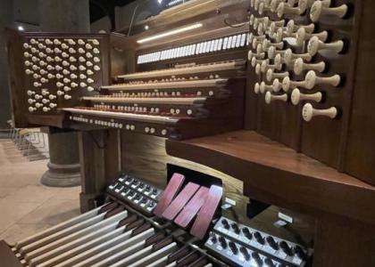organ